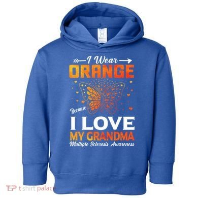 Multiple Sclerosis Ms Warrior I Wear Orange Grandma Gift Toddler Hoodie