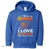 Multiple Sclerosis Ms Warrior I Wear Orange Grandma Gift Toddler Hoodie thumb 0