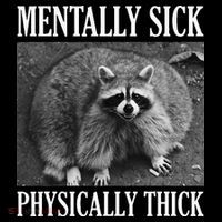 Mentally Sick Physically Thick Funny Raccoon Quote Ornament thumb 1