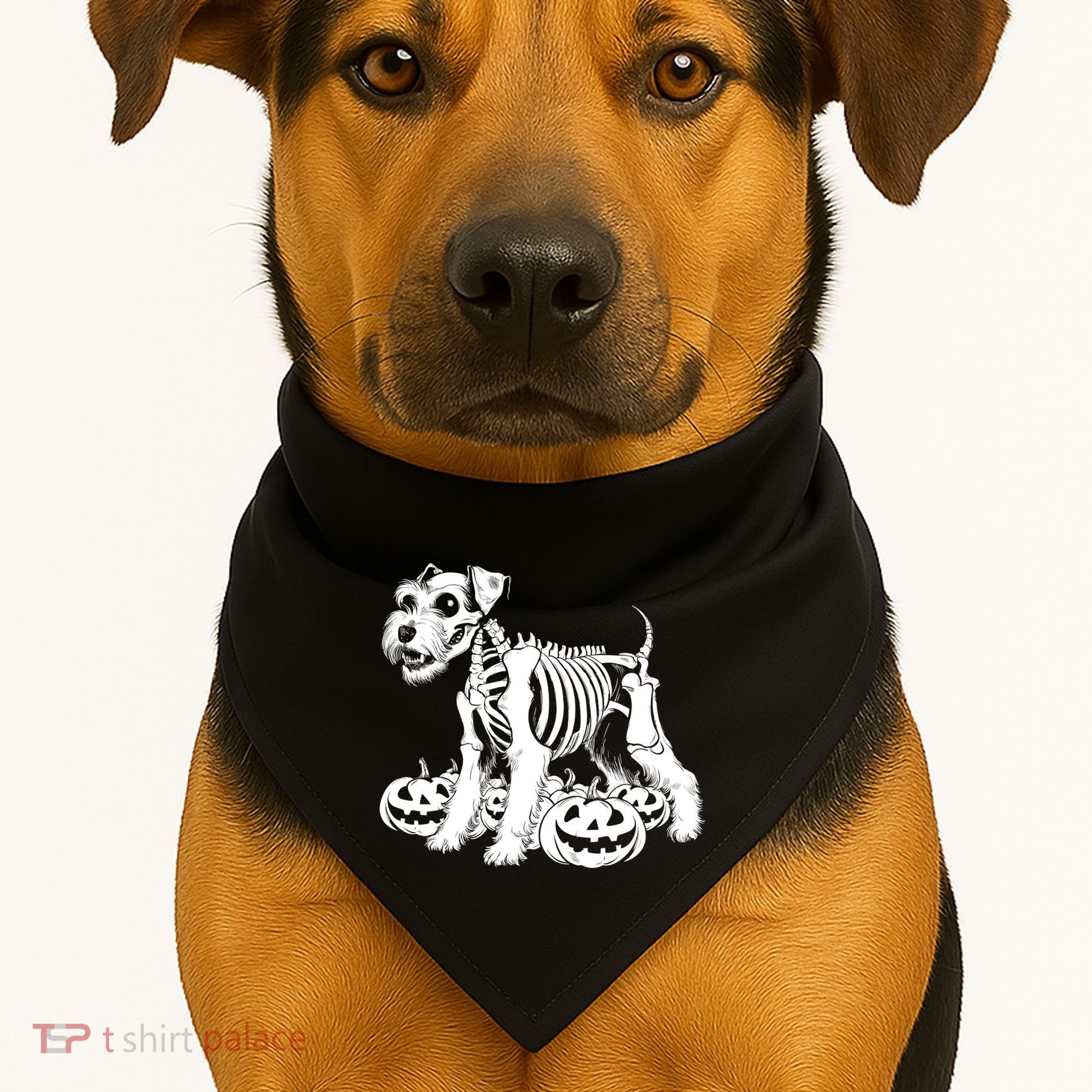 Miniature Schnauzer Skeleton Birthday Halloween Cute Gift USA-Made Doggie Bandana