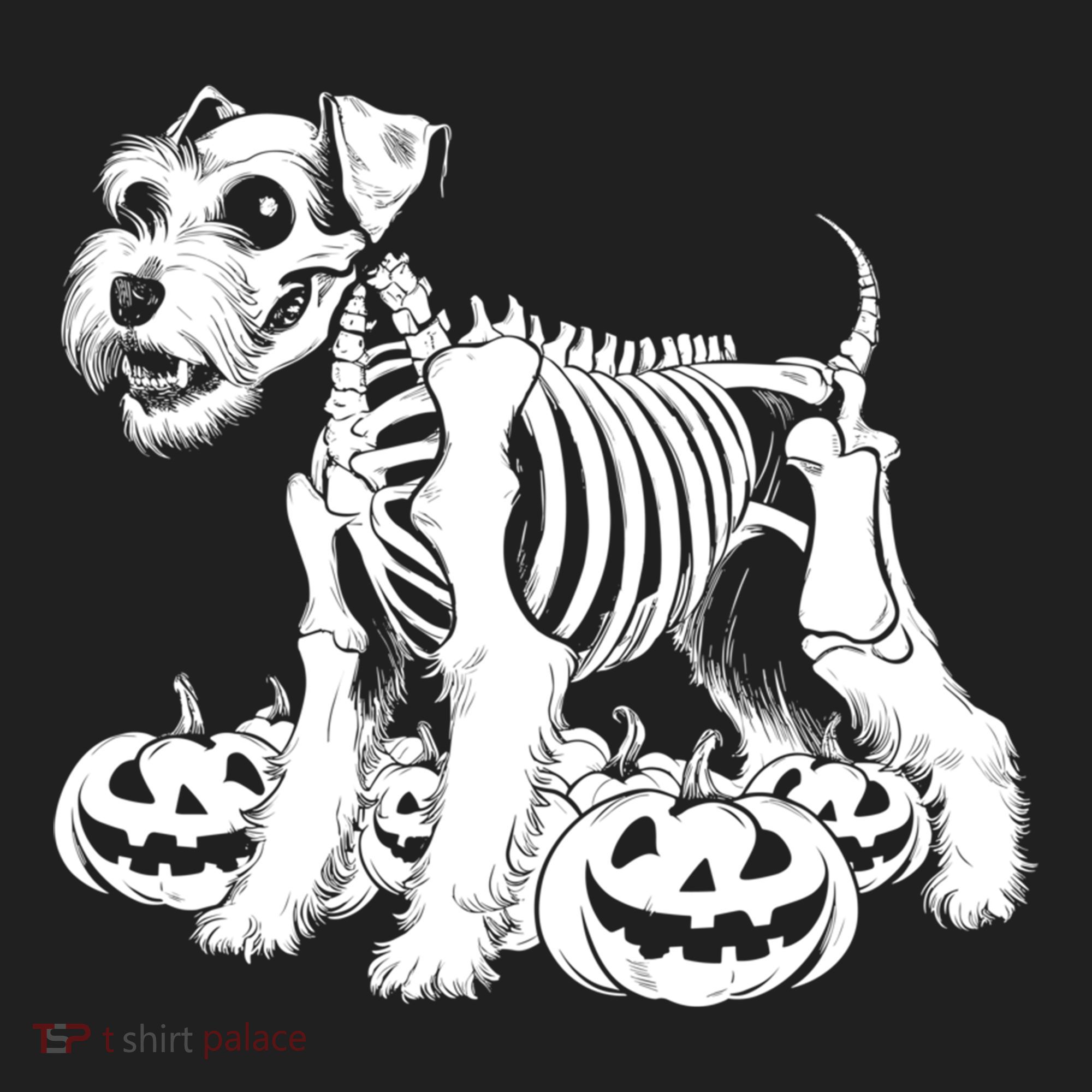 Miniature Schnauzer Skeleton Birthday Halloween Cute Gift Beanie