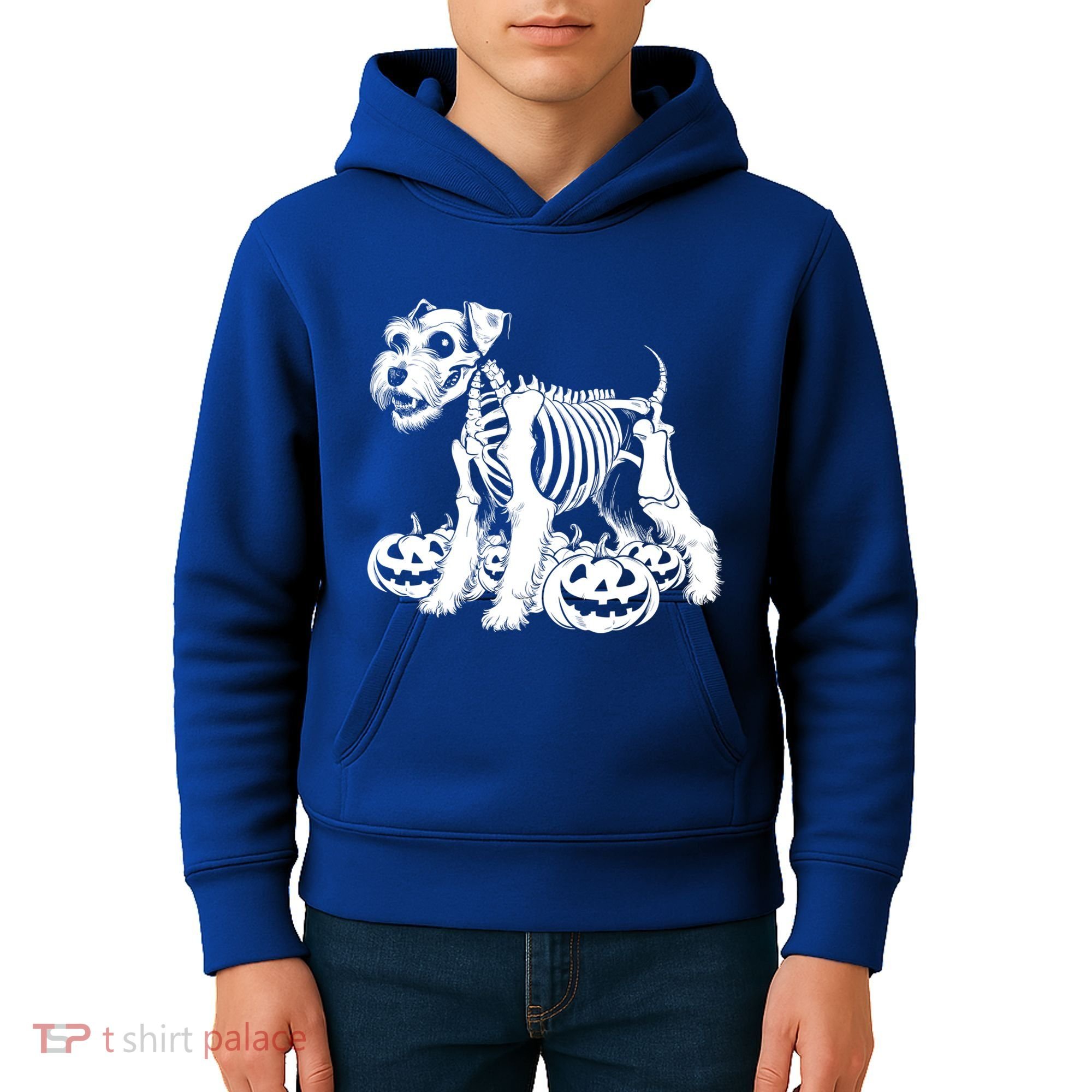 Miniature Schnauzer Skeleton Birthday Halloween Cute Gift Kids Hoodie