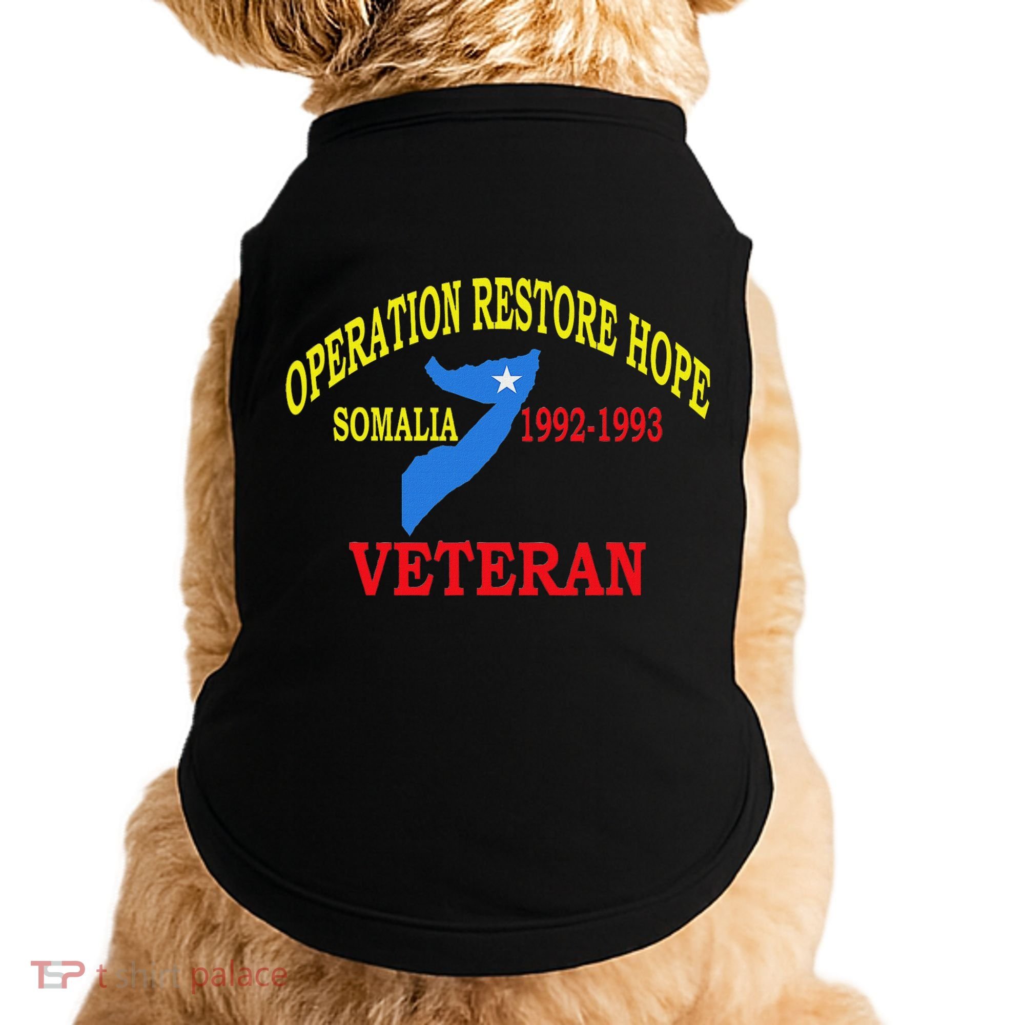 Mogadishu Somalia Veteran Operation Restore Hope War Veteran Doggie Tank