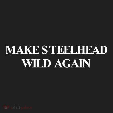 Make Steelhead Wild Again District V.I.T. Heavyweight Hoodie