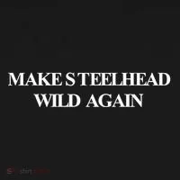 Make Steelhead Wild Again Women's Hoodie thumb 2