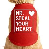 Mr Steal Your Heart Valentines Day Boy Doggie Tank thumb 0
