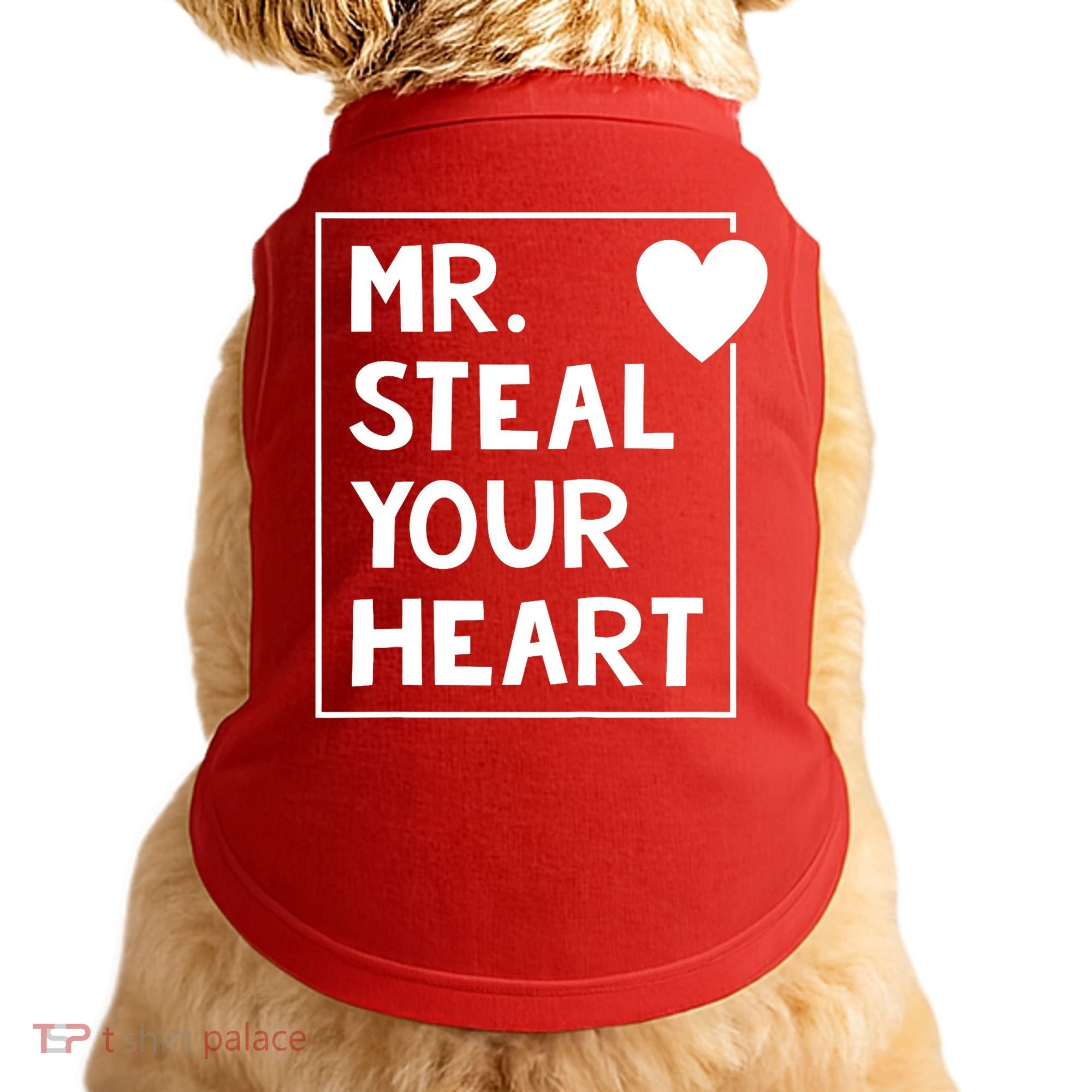 Mr Steal Your Heart Valentines Day Boy Doggie Tank
