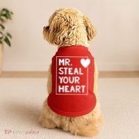 Mr Steal Your Heart Valentines Day Boy Doggie Tank thumb 2