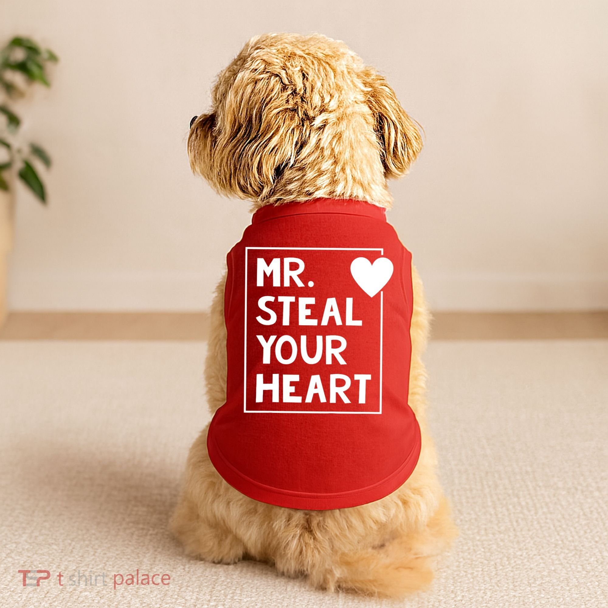 Mr Steal Your Heart Valentines Day Boy Doggie Tank