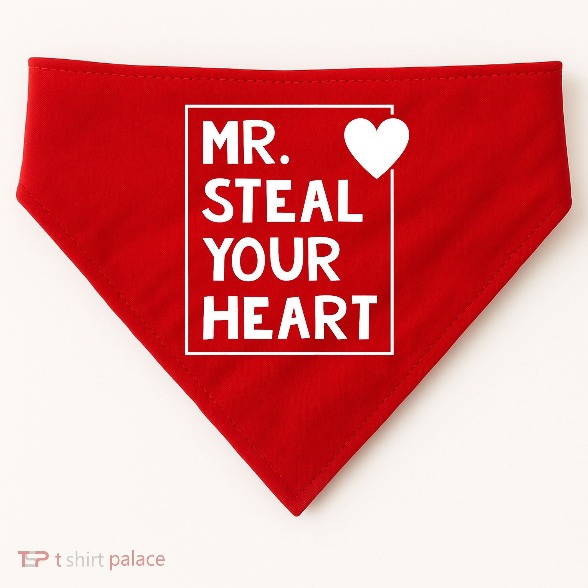 Mr Steal Your Heart Valentines Day Boy USA-Made Doggie Bandana