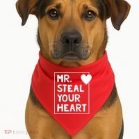 Mr Steal Your Heart Valentines Day Boy USA-Made Doggie Bandana thumb 1