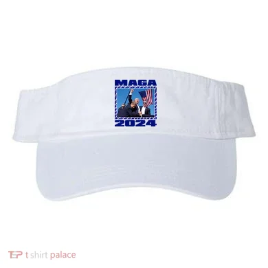 Visor