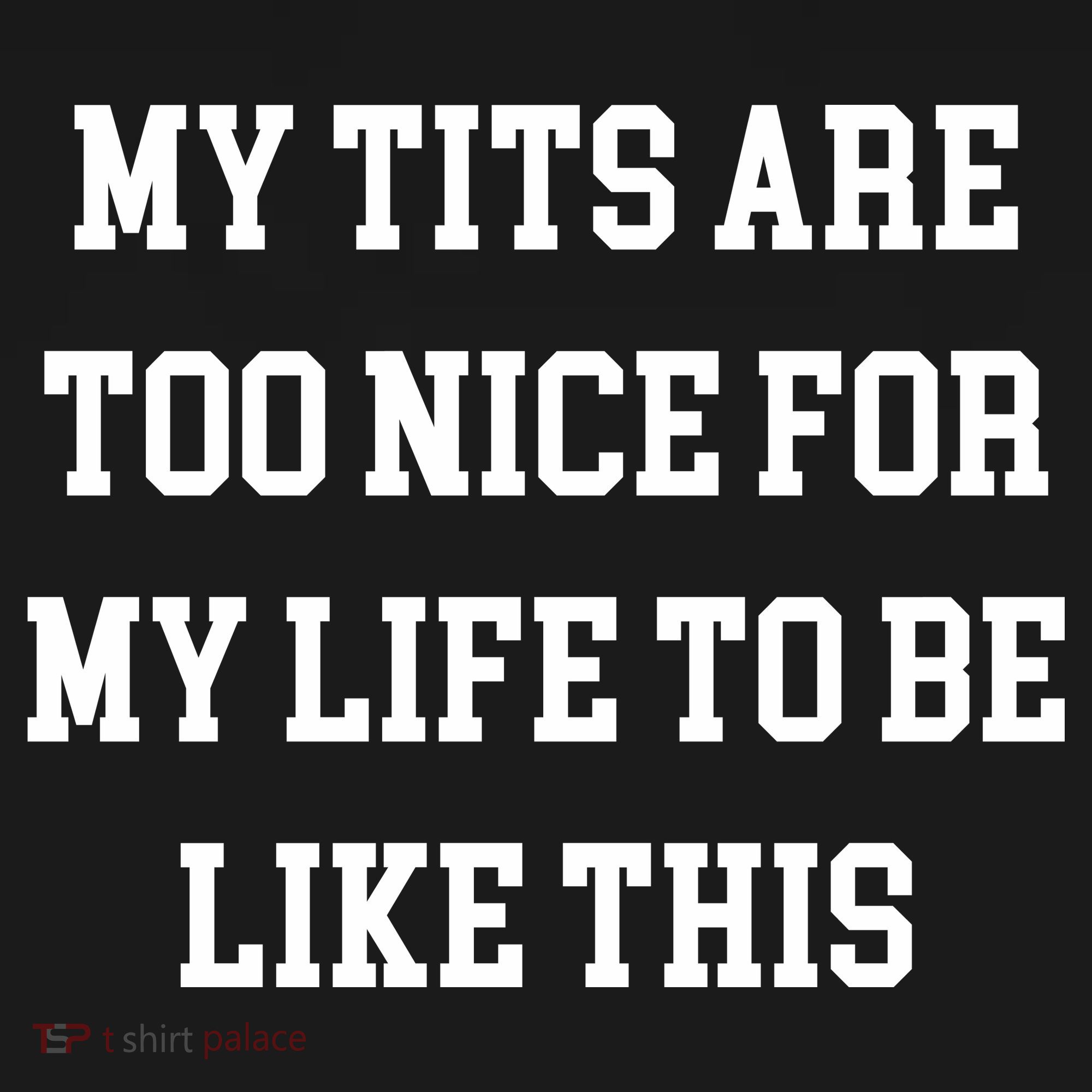 My Tits Are Too Nice For My Life To Be Coaster