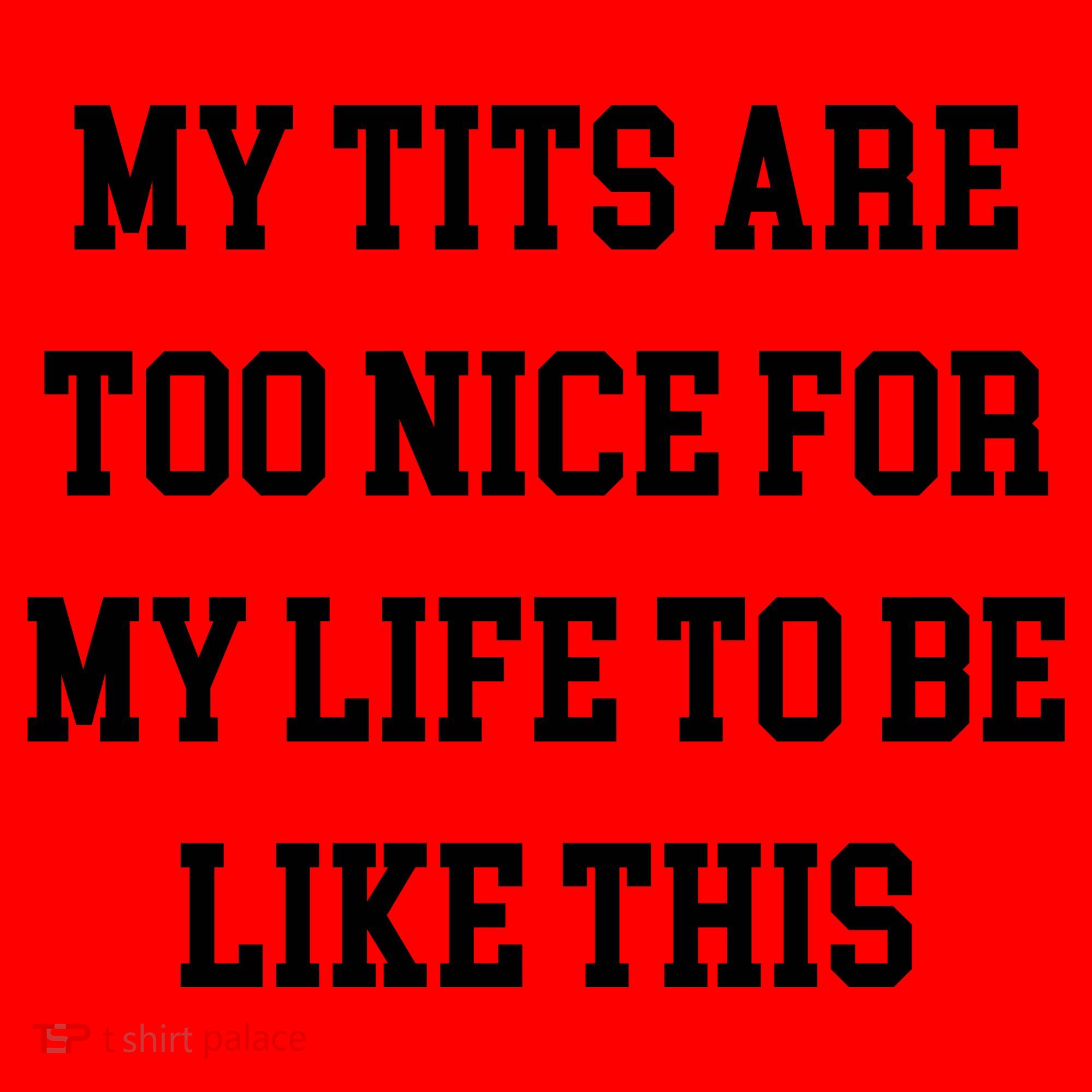 My Tits Are Too Nice For My Life To Be Santa Hat