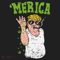 Merica Trump Bae Smoking Weed Cannabis Funny 420 Stoner Gift Beanie thumb 2