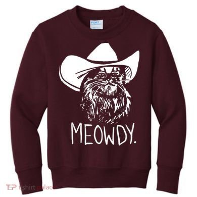 Meowdy Texas Cat Meme Kids Sweatshirt
