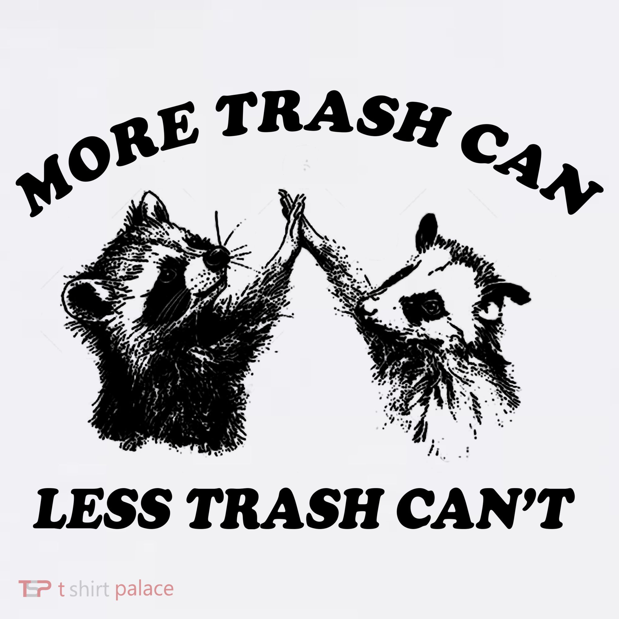 More Trach Can Less Trach CanT Funny Raccoon Beanie