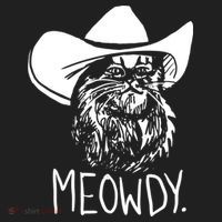 Meowdy Texas Cat Meme TShirt Tumbler thumb 3
