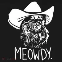 Meowdy Texas Cat Meme TShirt Women's T-Shirt thumb 6
