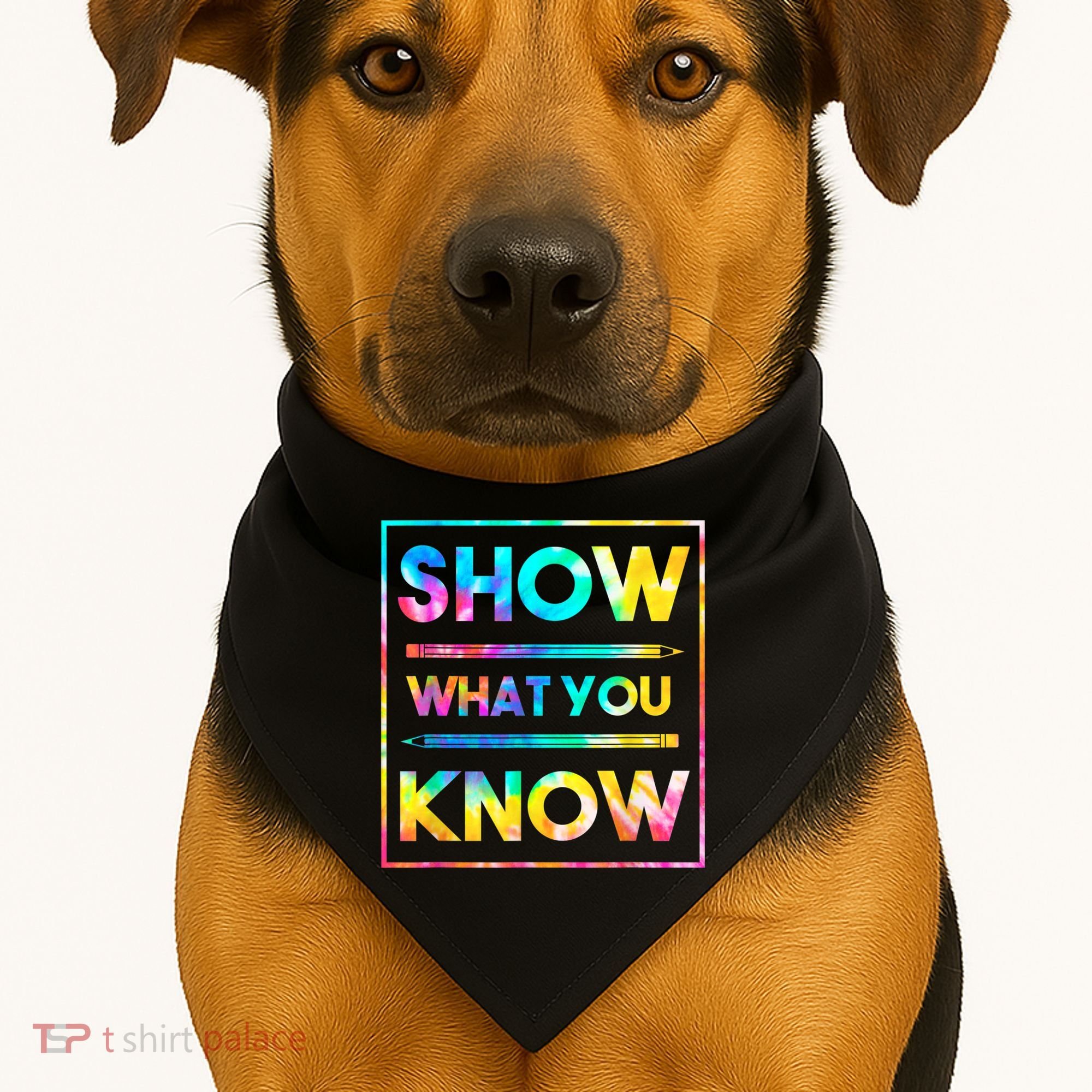Motivational Testing Day Shirt Teacher Show What You Know USA-Made Doggie Bandana