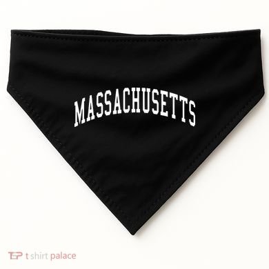 Massachusetts Throwback Design Print Classic USA-Made Doggie Bandana