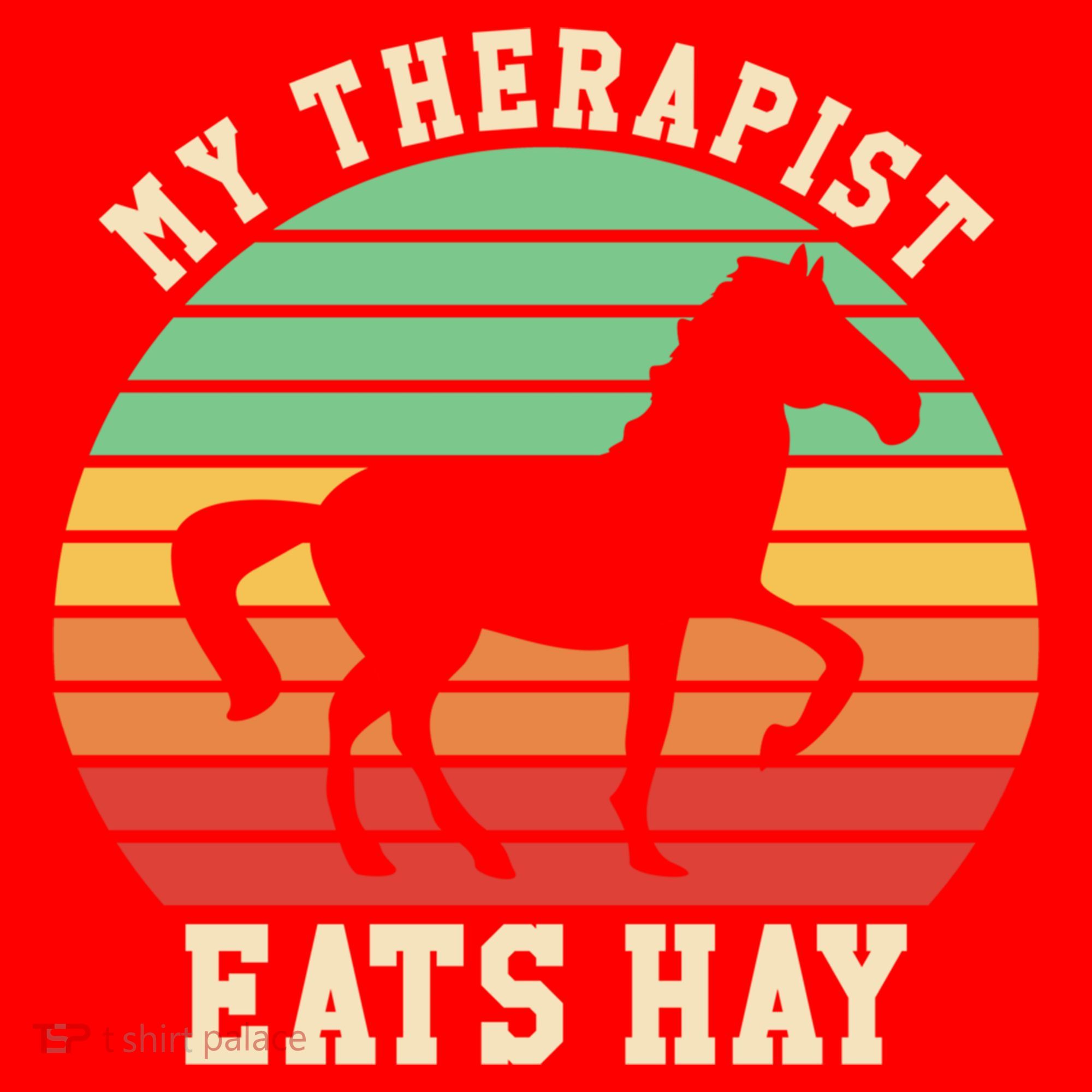 My Therapist Eats Hay Funny Horseback Riding Retro Gift Santa Hat