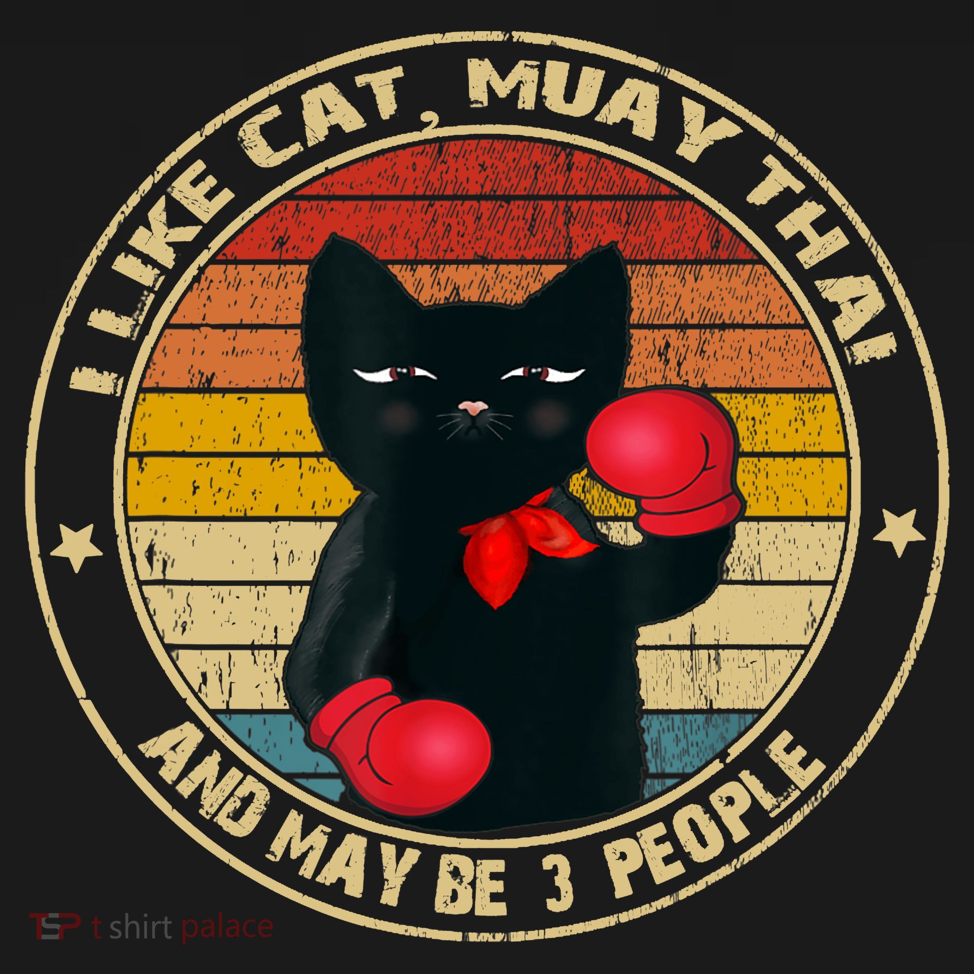 Muay Thai Funny Cat Kickboxing Thailand Boxing Cat Boxing Kids Sweatshirt