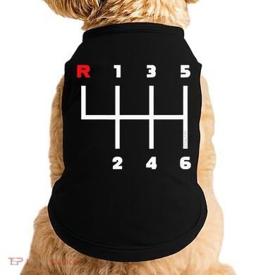 Manual Transmission Gear Shifter Pattern Doggie Tank
