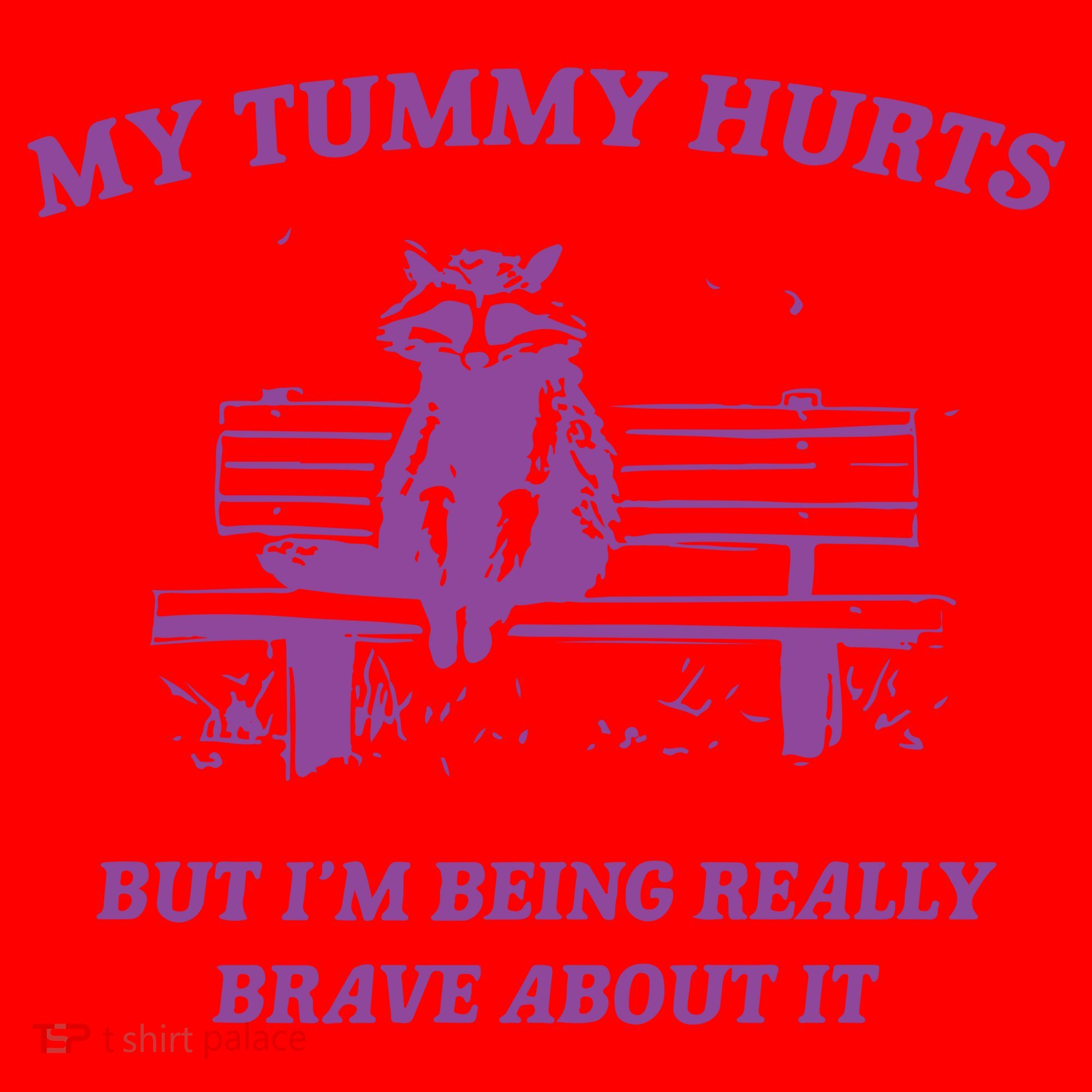 My Tummy Hurts Raccoon Santa Hat