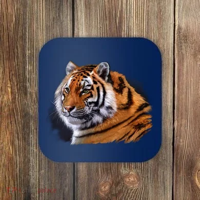 Coaster