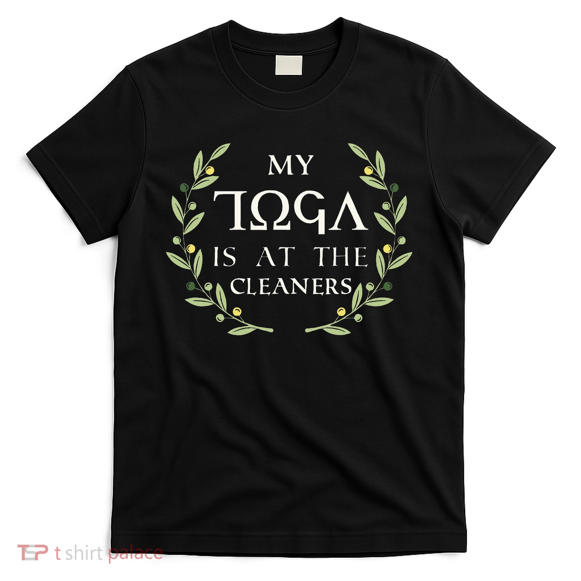 MY TOGA IS AT THE CLEANERS Funny Greek Toga Party Costume T-Shirt