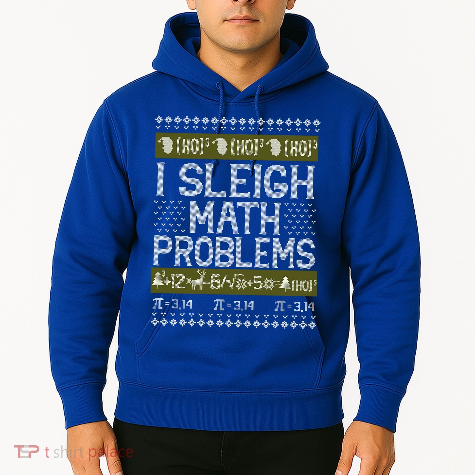 Math Teacher I Sleigh Math Problems Christmas Ugly Sweater Gift Hoodie