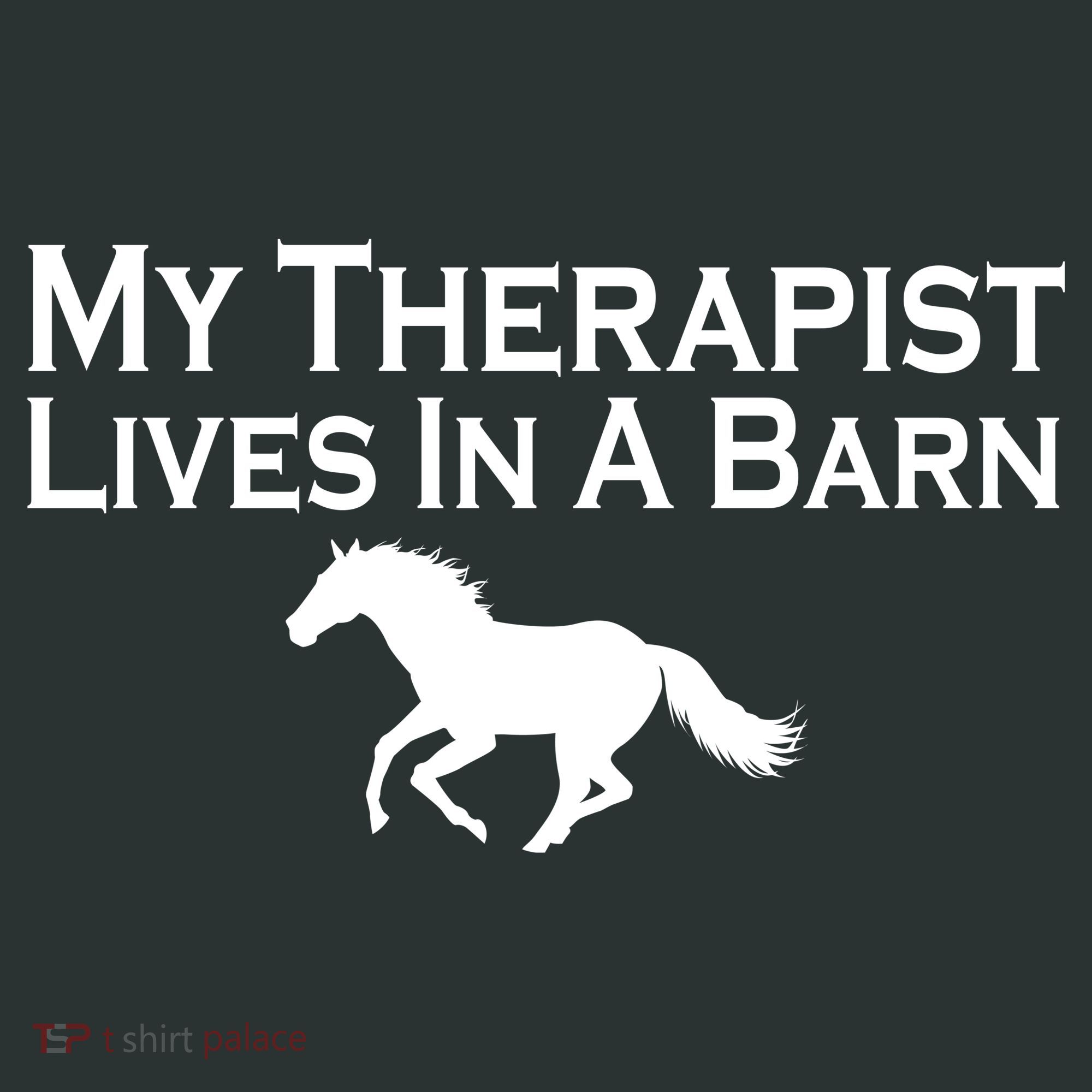 My Therapist Lives In A Barn Horse Lover Hoodie