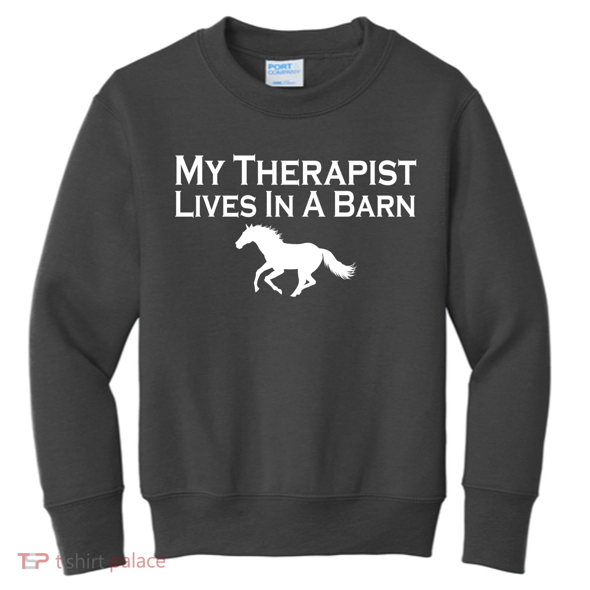 My Therapist Lives In A Barn Horse Lover Kids Sweatshirt