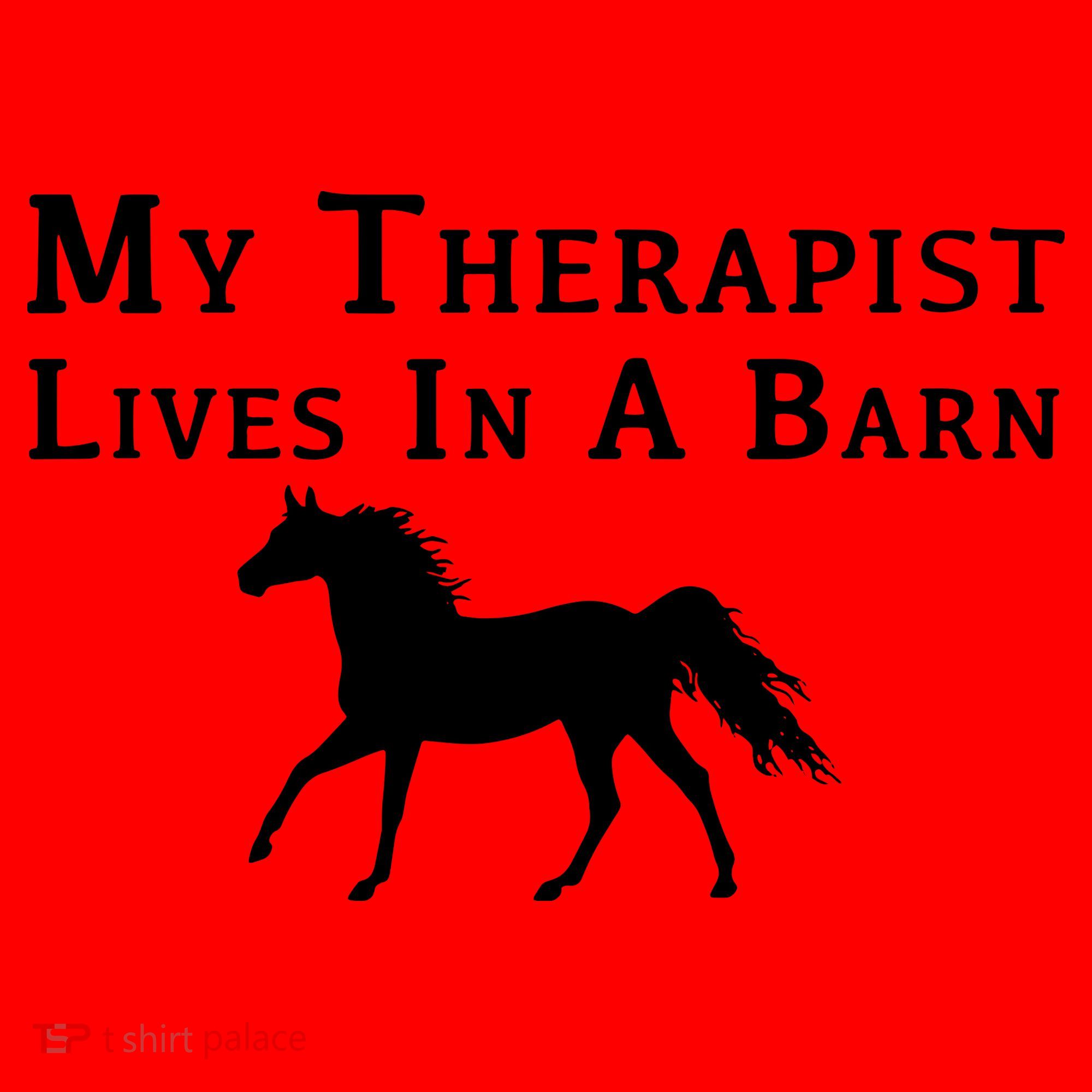 My Therapist Live In A Barn Funny Horse Santa Hat
