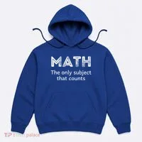 Math The Only Subject That Counts Funny Math Teacher Puns Gift Hoodie thumb 0