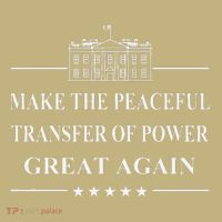 Make The Peaceful Transfer Of Power Great Again Hoodie thumb 7