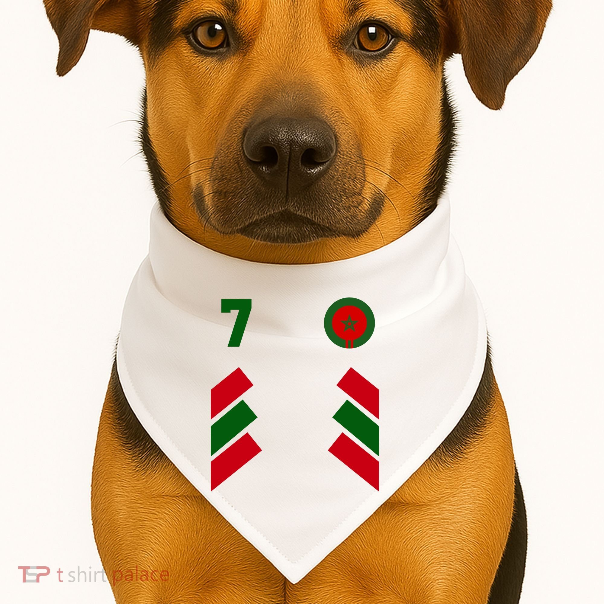 Morocco Team Sport Number 7 USA-Made Doggie Bandana