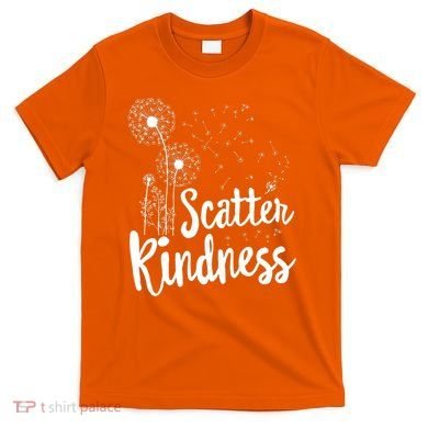 Matching Unity Day Orange Teacher Kindness Be Kind T-Shirt