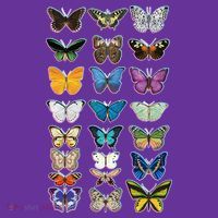 Multi Butterflies Botanical Species Women's T-Shirt thumb 6