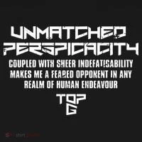 My Unmatched Perspicacity Couple With Sheer Indefatigability Women's Hoodie thumb 2
