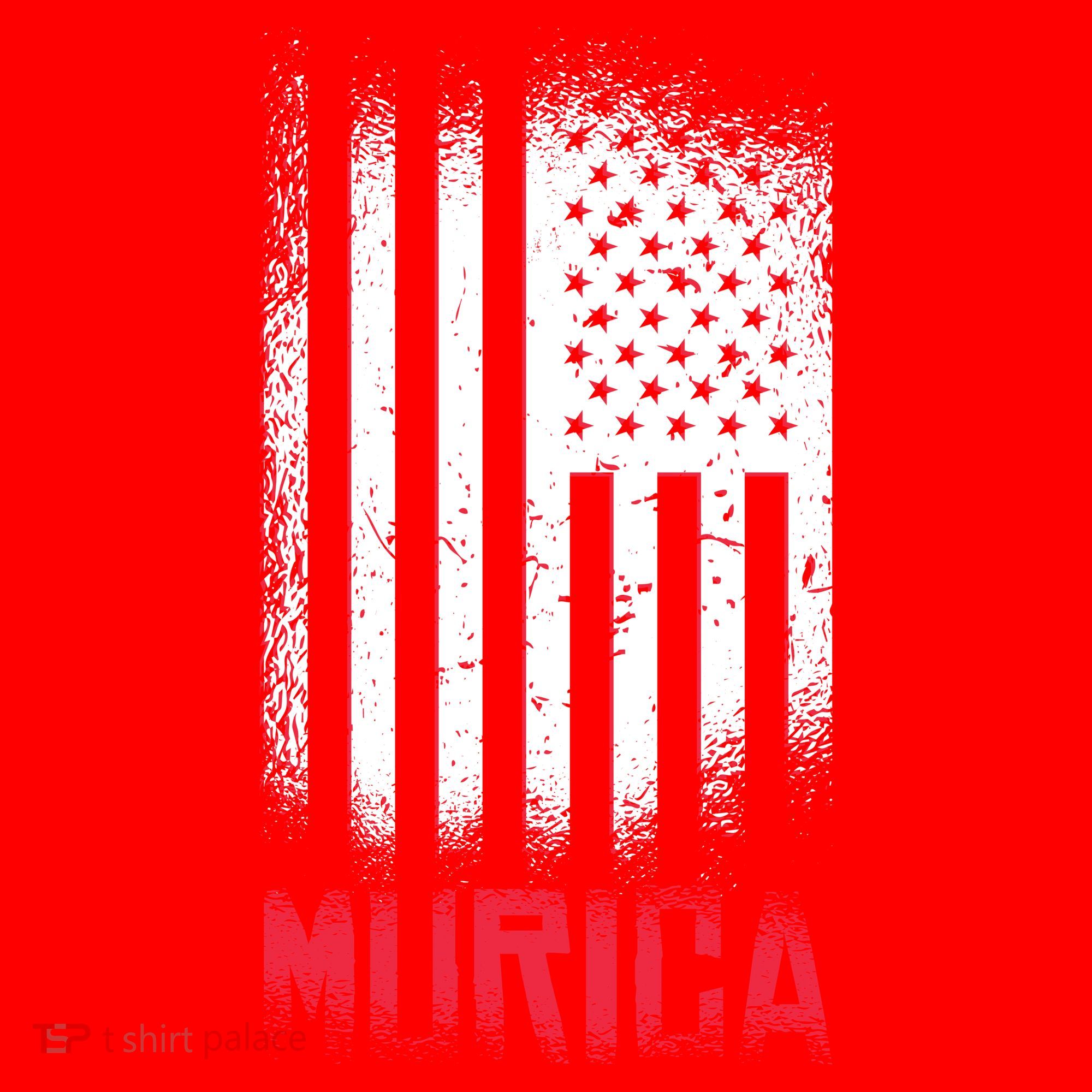 Murica American Flag Patriotic Santa Hat