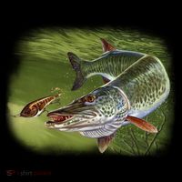 Muskie Doggie Tank thumb 4