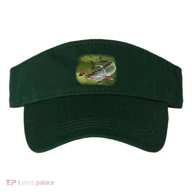 Visor