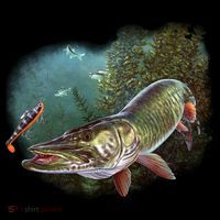 Musky Chase Fishing Ornament thumb 1