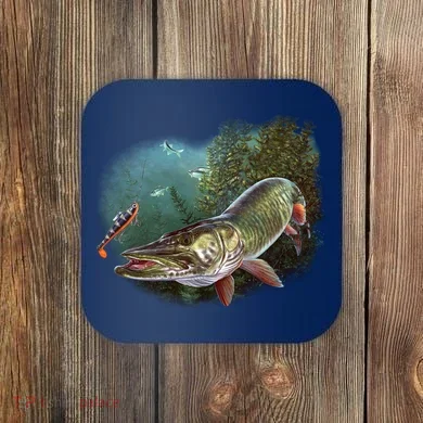 Coaster