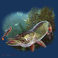 Musky Chase Fishing Tank Top thumb 6