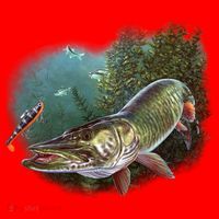 Musky Chase Fishing Santa Hat thumb 1