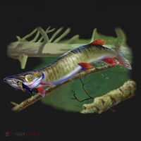 Musky Escape Route Fishing Tank Top thumb 6