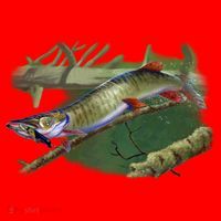 Musky Escape Route Fishing Santa Hat thumb 1